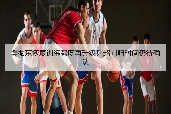 樊振东恢复训练强度再升级乒超回归时间仍待确认